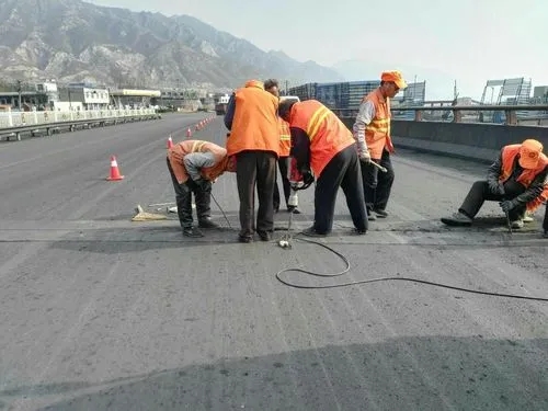 兴化道路桥梁病害治理